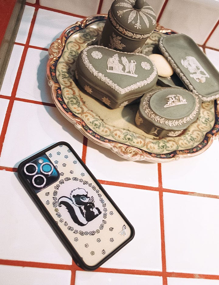 Little Stinker iPhone Case