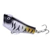 5CM/7.4G Popper Hard Floating Fishing Lure with 3D Lure Eyes in Saltwater