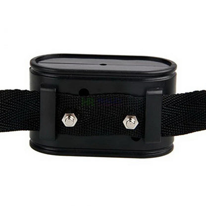 Electronic Fence Receiver Collar for W227 W227B In-ground Pet Dog Electric Fence Electronic Training Collar Accessories