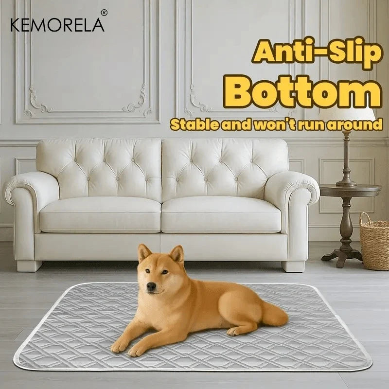 2PCS Washable Reusable Cat and Dog Urine Pads, Training Pads for Large,  Small Pets, for All Seasons, Multiple Sizes Available