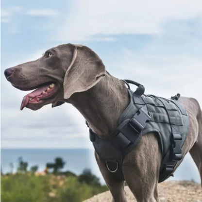 Tactical Dog Harness Military Training  Padded Quick Release Vest Pet Training Dog Harness For Set Small Medium Large Dogs