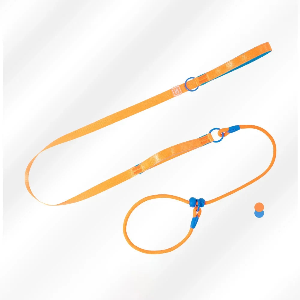 Double Handle Pet Dog Training Round Rope Light Weight Nylon P Chain Adjustable for Small Medium Dogs Walking Leash Pet Supplies