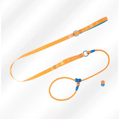 Double Handle Pet Dog Training Round Rope Light Weight Nylon P Chain Adjustable for Small Medium Dogs Walking Leash Pet Supplies
