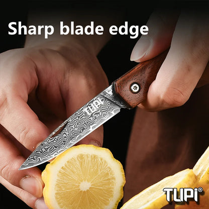 Damascus Steel Folding Knife, High-hardness Forged Knife, Pocket Folding Knife for Outdoor Camping Hiking,Portable Pocket Knife