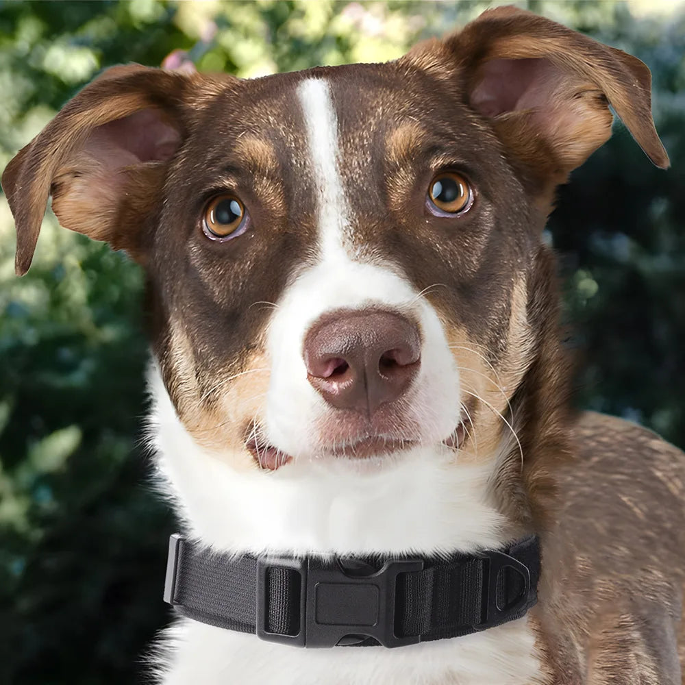 Large Medium Dog Tactical Collar High Strength Tensile Explosion-Proof Pet Collar Outdoor Training Supplies for Canines