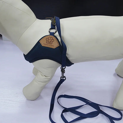 Pet Dog Walking Harness and Leash, Suitable for Puppies, Small to Medium Dogs, Ideal Choice for Training, Travel, and Daily Wear