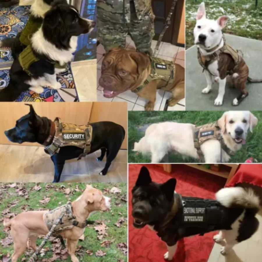 Tactical Dog Harness Military Training  Padded Quick Release Vest Pet Training Dog Harness For Set Small Medium Large Dogs