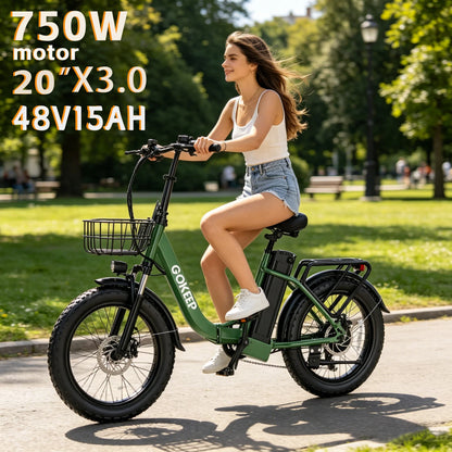 L20  E-Bike 750W motor 48V10AH folding mountain Electric Bicycle Mechanical brake 20*3-inch tire urban commuting Electric  Bike