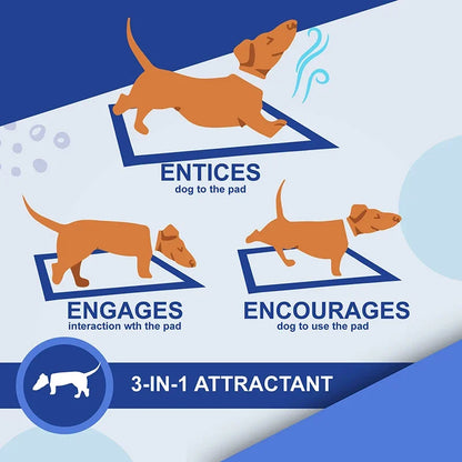 NEW Absorbent Dogs Diapers Disposable Puppy 20/40/50/100PCS Training Pee Pads Quick Dry Surface Mat Clean Cushion Dog Supplies
