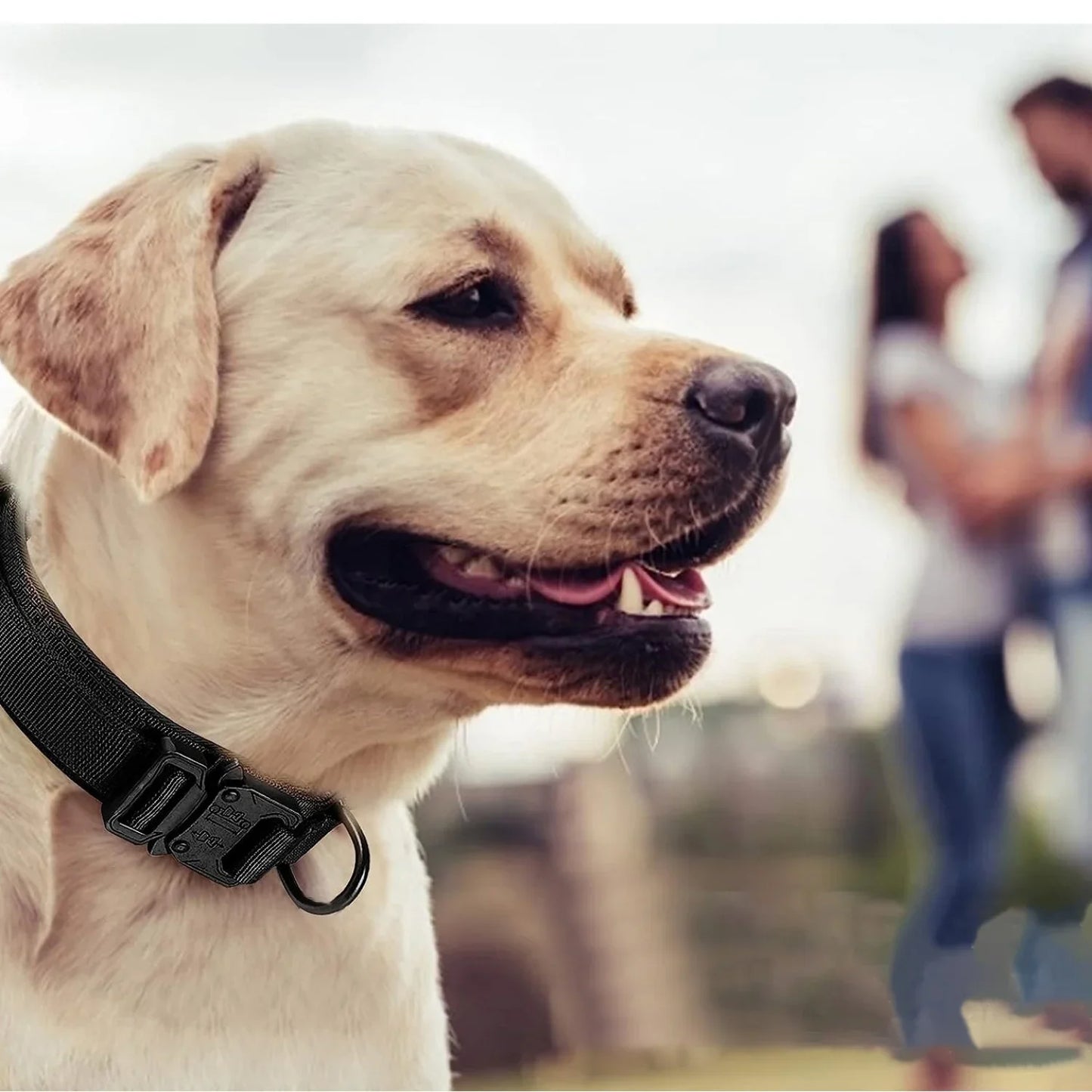 Tactical Dog Collar Adjustable Military Nylon Dog Collar with Control Handle Heavy Duty Metal Buckle for Medium Large Dogs