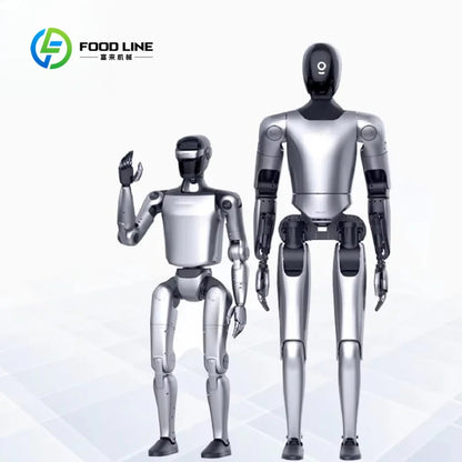 Customized Versatile Humanoid Robot with Dexterous Hands for Complex Manipulation and Industrial Automation Tasks