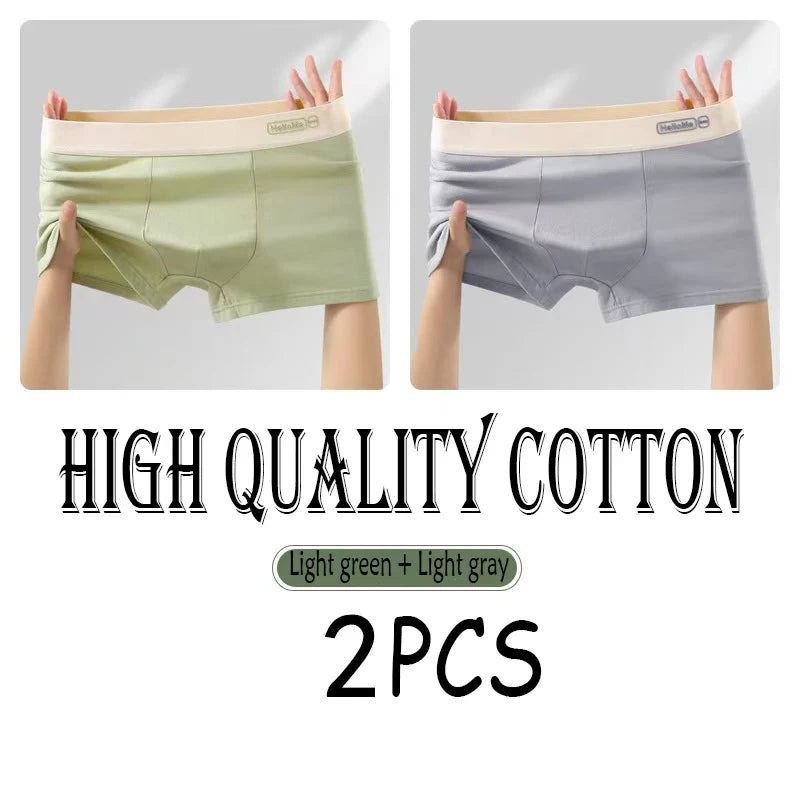 2/3PCS Cotton Men's Underwear Simple Fashion Comfortable Breathable Multi-Color Underwear Combination Sports Stretch Underwear