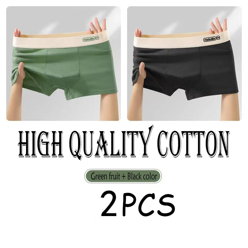 2/3PCS Cotton Men's Underwear Simple Fashion Comfortable Breathable Multi-Color Underwear Combination Sports Stretch Underwear