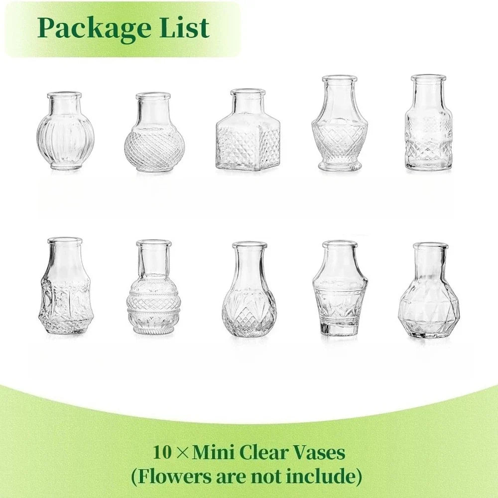 10/20pcs Mini Glass Vase Modern Clear Hydroponic Flower Vase Retro