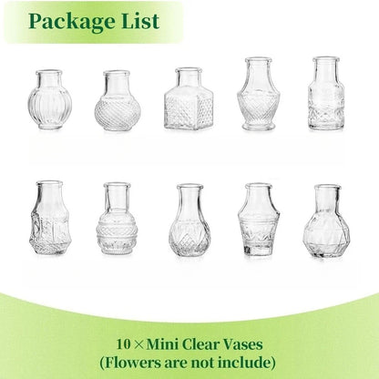 10/20pcs Mini Glass Vase Modern Clear Hydroponic Flower Vase Retro