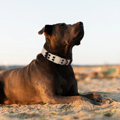 Tactical Dog Collar, Heavy Duty Nylon Dog Collar with Double Buckle, Adjustable Military Dog Collar for Medium Large Dogs