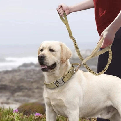 Pet Products Outdoor Tactical Dog Collar Metal Buckle Breathability Nylon Collar Medium and Large Dog Training Neck Collar Dog