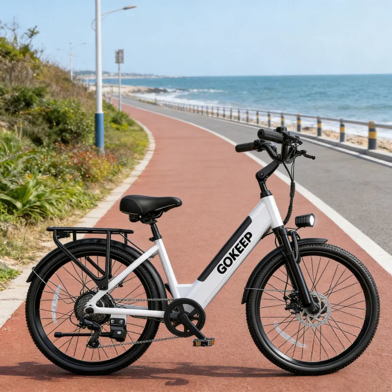 26-inch fashionable E-Bike, 600W brushless motor 48V-10.4ah lithium battery electric moped, adult electric bicycle