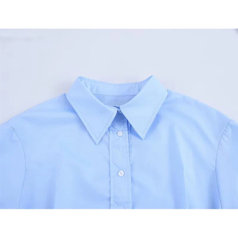 Spring Shirts Tops Women's 2025 New Chic Striped Slim Elegant Office Women's Shirt Fashion Street Youth Long-Sleeved Shirt