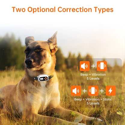 Smart GPS Pet Electronic Fence Wireless Pet Enclosure Waterproof Outdoor Training Collar for Dogs Pet Products Accessories