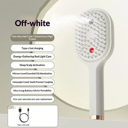 Electric Steam Spray Hair Brush USB-C Rechargeable Wet Hair Straightener Comb, Smooth Styling Anti-Frizz Tool